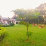 Lawn A