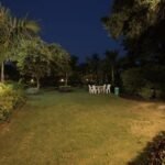 Lawn C