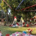 Lawn with Decor E