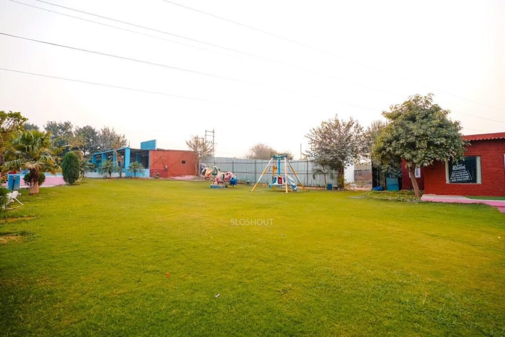 Lawn(2)